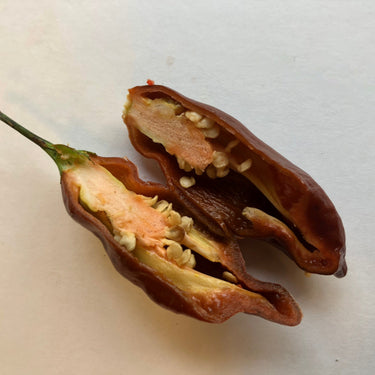 Habanero Black - Seeds - The Pepper Pantry (Formerly Marie Sharp's)